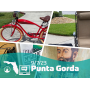 Downsizing Auction in Punta Gorda, FL: Bicycles, Decor and Everyday Items