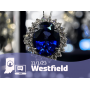 Elegant Gold Rings, Silver Coins, And Fine Jewelry In Westfield, IN // Global Shipping Offered