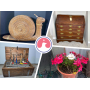 Antiques, Collectibles & Live Plants in Avon