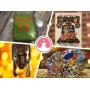 Scout Out These Rare Boy Scout Gems! Vintage Online Auction in Windsor Park Area in Indy
