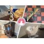 Figurines, Finds, and Collectibles Geist Area of Indy Auction Live Now!