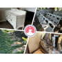 Online Estate Auction of Iconic Balmoral House in Fishers with Furnishings, Decor and Architectural 