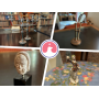 Elegant Estate Auction Featuring Antiques, Vintage and More in Traders Point of Indy