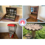Louisville Picks - Estate Furniture, Decor and Everyday Treasures