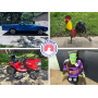 Greenfield Farmhouse Estate Sale, w/ Cars, Tools, Holiday and Yard Decor