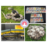 Hit a Home Run with Bloomington Estate Sale 2 of 2 Lionel Trains, Sports Cards, Geodes, Tools and Mo