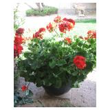 WESTBROOK VILLAGE MOVING SALE by BWC SALES