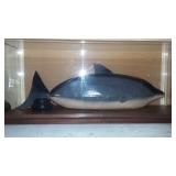 porpoise pond floater