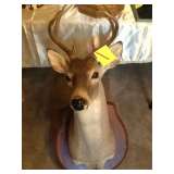 Deer Mount