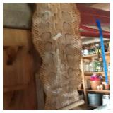 Huge snake skin