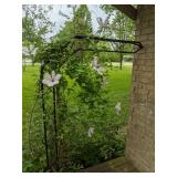Garden Trellis