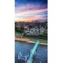 FAIR HAVEN Estate Sale