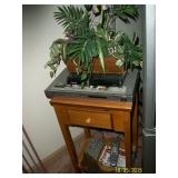Faux plant, DVD player and small side table