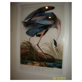  Audubon Crane print/poster
