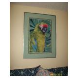  Parrot print