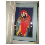 Parrot lithograph #1/250