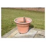 Pot