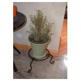 Plant, Planter, & Stand
