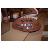 Official Wilson World League Football