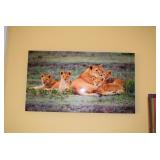 Thomas D. Mangelsen Photography 