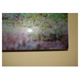 Thomas D. Mangelsen Photography 