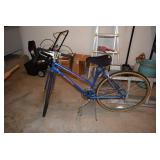 Schwinn Bike