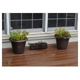 Outdoor Potted Plants