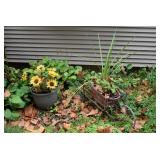 Outdoor Pots & Plants