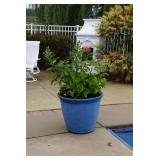 Outdoor Pot w/Plant