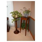 Plant Stands & Potted Plants