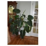 Plant in Pot & Stand