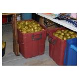 Bins of Potatoes