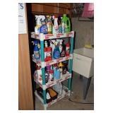 Assorted Cleaning Products