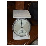 American Family Scale