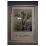 "Ansel Adams" Framed Art