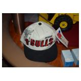 Chicago Bulls Cap