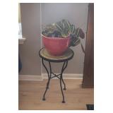 Plant & Plant Stand