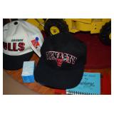 Bulls Cap