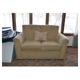 Loveseat & Pillow