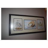Framed Wildlife Art