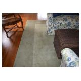 Area Rug