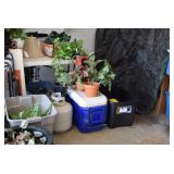 Plants, Vases, Cooler 