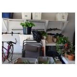 Plants, Garage Items