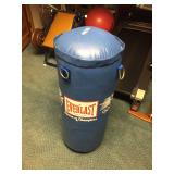 punching bag
