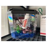 Fish aquarium 