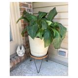 Outdoor Plant and stand 