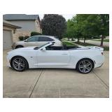 Cait's Frankfort Estate Sale - 50% OFF