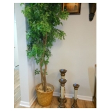 tree and candle sticks