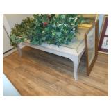 coffee table and plants 