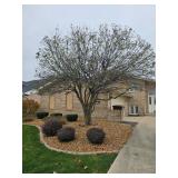 Cait's Tinley Park Estate Sale - 50% OFF SATURDAY!